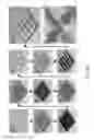 Fig. 35 - Microelectorode array, methods for preparing the same and uses thereof
