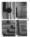 Fig. 36 - Microelectorode array, methods for preparing the same and uses thereof