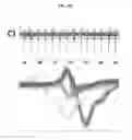 Fig. 43 - Microelectorode array, methods for preparing the same and uses thereof