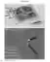 Fig. 48 - Microelectorode array, methods for preparing the same and uses thereof