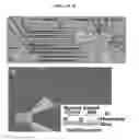 Fig. 49 - Microelectorode array, methods for preparing the same and uses thereof