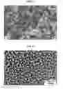 Fig. 04 - DEGRADATION RESISTANT IMPLANTABLE MATERIALS AND METHODS