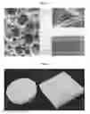 Fig. 05 - DEGRADATION RESISTANT IMPLANTABLE MATERIALS AND METHODS