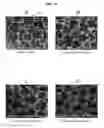 Fig. 09 - DEGRADATION RESISTANT IMPLANTABLE MATERIALS AND METHODS