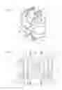 Fig. 02 - Method Of Implanting An Interspinous Vertebral Implant