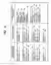 Fig. 10 - CHARGED PARTICLE APPARATUS, SCANNING ELECTRON MICROSCOPE, AND SAMPLE INSPECTION METHOD