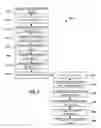 Fig. 04 - Full-band scalable audio codec