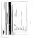Fig. 28 - Automated method of reporting payments made to patients for their participation in a clinical study in a blinded manner to the sponsor of the clinical study
