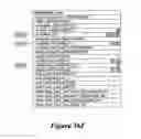 Fig. 42 - Automated method of reporting payments made to patients for their participation in a clinical study in a blinded manner to the sponsor of the clinical study