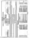 Fig. 11 - Integrated Operational Risk Management