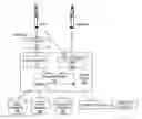 Fig. 01 - Method of conducting financial transactions