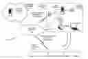 Fig. 01 - MOBILE CONTENT DISTRIBUTION WITH DIGITAL RIGHTS MANAGEMENT