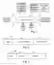 Fig. 02 - Procedural order processing