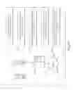 Fig. 35 - Establishing direct, secure transaction channels between a device and a plurality of service providers
