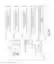 Fig. 34 - Securing a driver license service electronic transaction via a three-dimensional electronic transaction authentication protocol