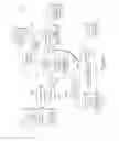 Fig. 48 - TRANSACTIONAL SERVICES