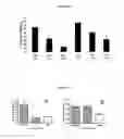 Fig. 03 - Methods for improvement of beta cell function with anti-IL-1β antibodies or fragments thereof