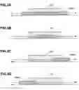Fig. 04 - INFORMATION PROCESSING APPARATUS, INFORMATION PROCESSING METHOD, AND PROGRAM