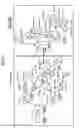 Fig. 08 - Storage medium, trie tree generation method, and trie tree generation device