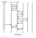 Fig. 03 - Communication network list management sending updated member data from a provisioning system to a list manager and then to an application server