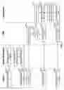 Fig. 12 - DYNAMIC INDEXING FOR AD INSERTION IN MEDIA STREAMING