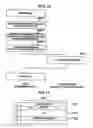 Fig. 14 - Automated on-line capacity expansion method for storage device