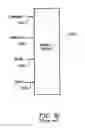 Fig. 10 - Memory controller for controlling write signaling
