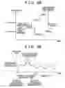 Fig. 07 - Failure diagnostic system, electronic control unit for vehicle, failure diagnostic method