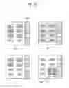 Fig. 23 - Mobile terminal for displaying a webpage and method of controlling the same