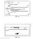 Fig. 02 - Web translation with display replacement