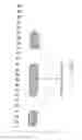 Fig. 66 - Information storage medium, reproducing method, and recording method