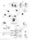 Fig. 01 - System and method of selective channel or advertising delivery