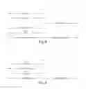 Fig. 09 - Facilitating a secure transaction over a direct secure transaction portal