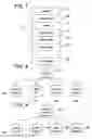 Fig. 06 - SYSTEM AND METHOD FOR RENDERING CONTENT ASSOCIATED WITH A DIGITAL WORK