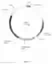 Fig. 04 - Plants having improved growth characteristics and method for making the same