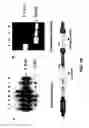Fig. 24 - Targeted Integration And Stacking Of DNA Through Homologous Recombination