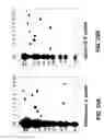 Fig. 32 - Targeted Integration And Stacking Of DNA Through Homologous Recombination