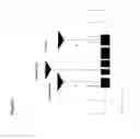 Fig. 02 - Nucleotide sequences mediating male fertility and method of using same