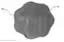 Fig. 01 - Reusable breast shield