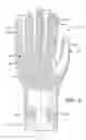 Fig. 06 - Ambidextrous glove