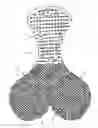 Fig. 01 - Protective element for cyclist pants