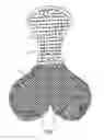 Fig. 02 - Protective element for cyclist pants