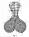 Fig. 03 - Protective element for cyclist pants