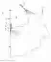 Fig. 04 - Hammock-ridge-connection system
