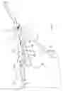 Fig. 05 - Hammock-ridge-connection system
