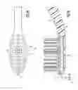 Fig. 10 - Toothbrush and process for producing the same