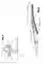 Fig. 06 - Flat wiper blade