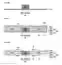 Fig. 09 - Method of manufacturing printed circuit board for optical waveguides