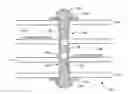 Fig. 01 - Method of manufacturing a printed circuit board including a component located in a via