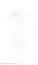 Fig. 04 - Vegetation trimmer